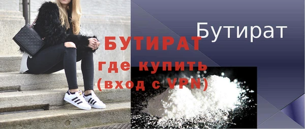 гидра Инта