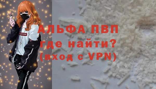 гидра Инта