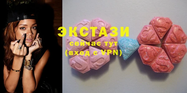 гидра Инта