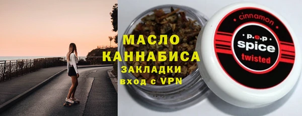 гидра Инта