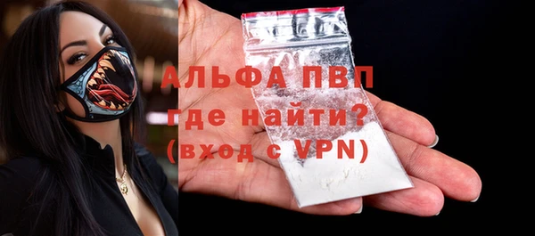 гидра Инта