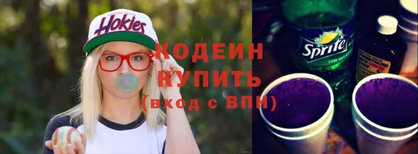 гидра Инта