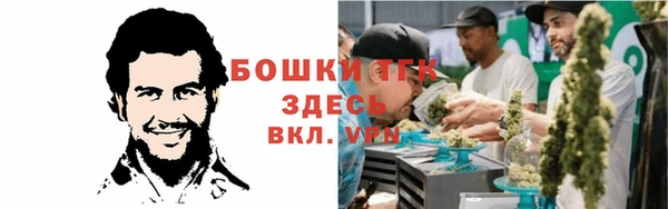 гидра Инта