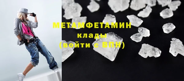 гидра Инта