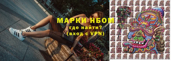 гидра Инта