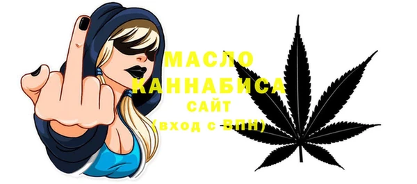 гидра Инта