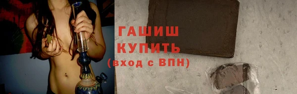 гидра Инта