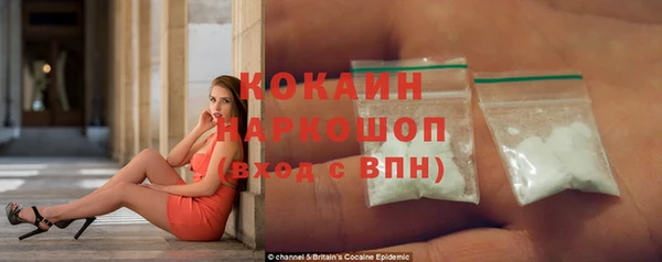 гидра Инта