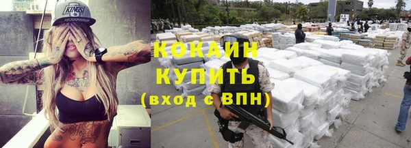 гидра Инта