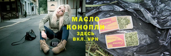 гидра Инта