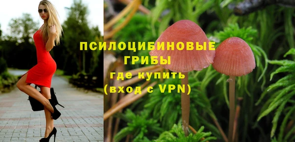 гидра Инта