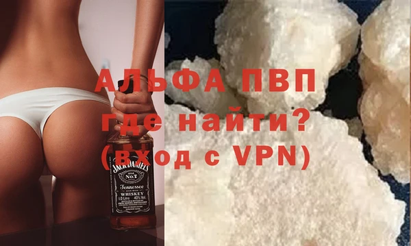 гидра Инта